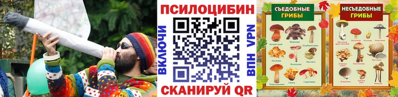 Псилоцибиновые грибы MAGIC MUSHROOMS  Купить где  Данков 